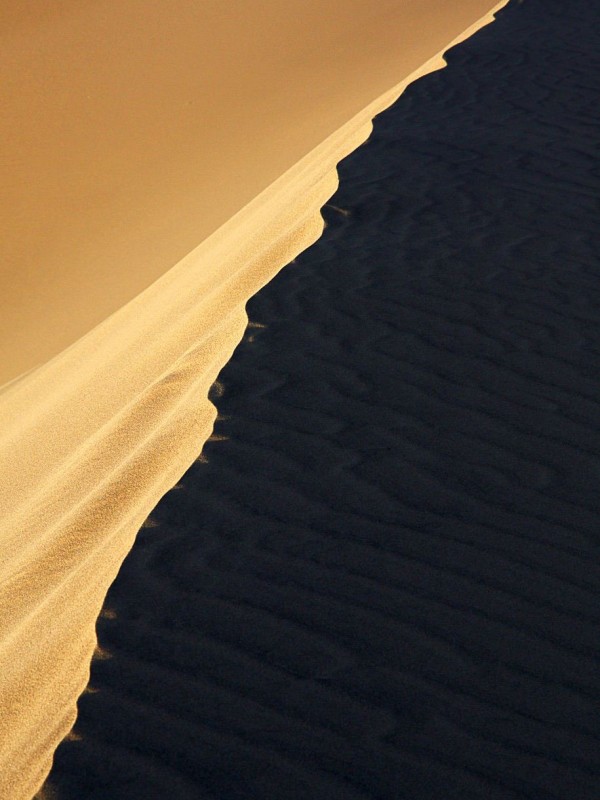 A dune in the desert